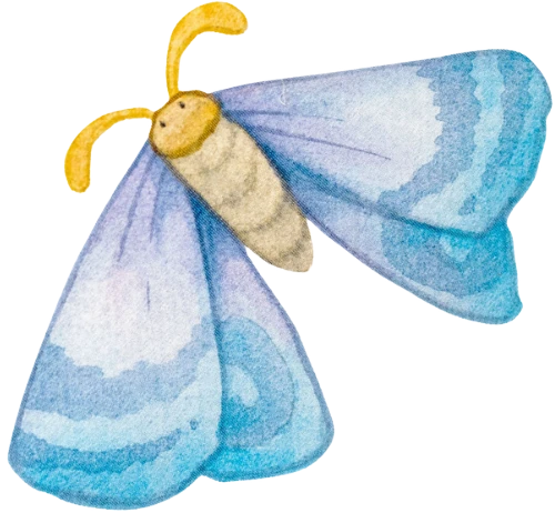 Blue butterfly graphic