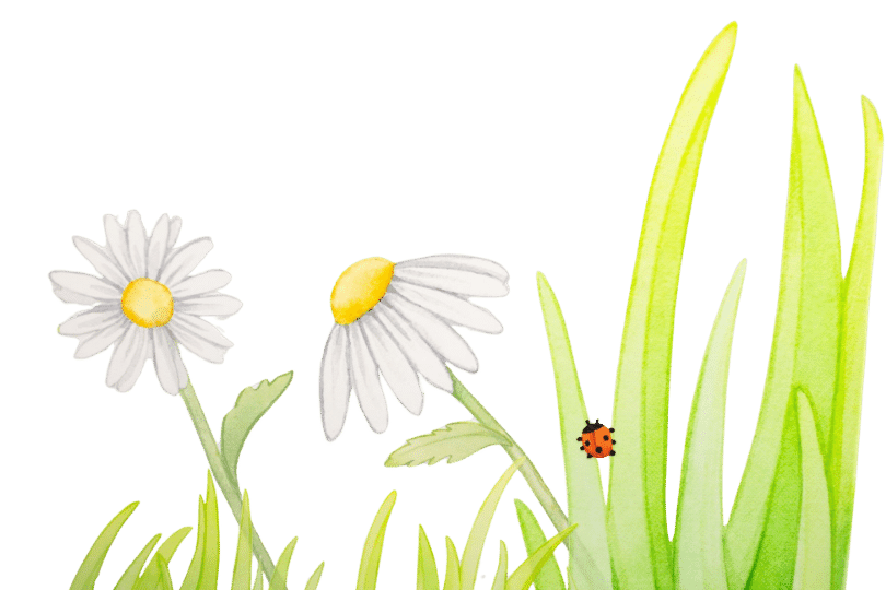 painting of grass with flowers and a ladybird