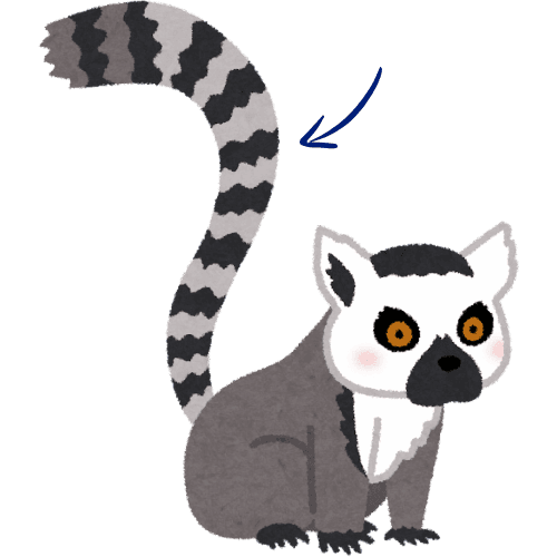 K_ _t_Tail