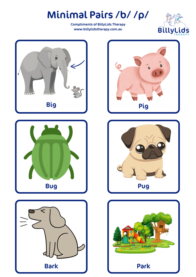 Voice minimal pair b → p 