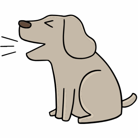 b_ _p_Bark