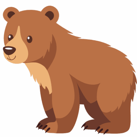 b_ _p_Bear