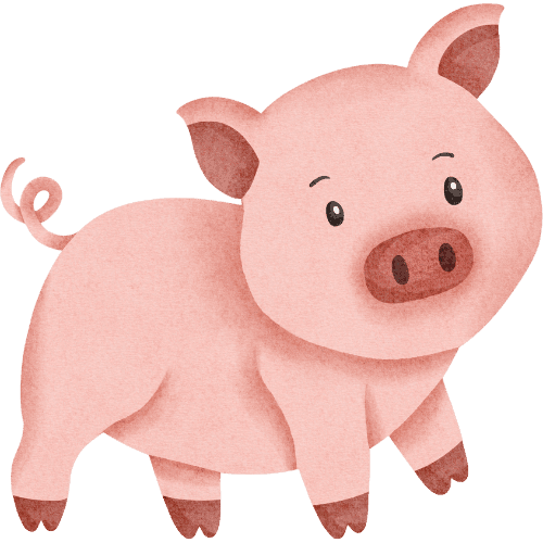 b_ _p_Pig