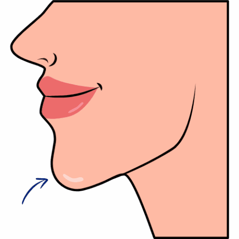 ch_ _sh_Chin