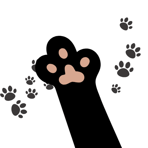 s_ _p_Paw