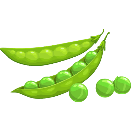 s_ _p_Pea