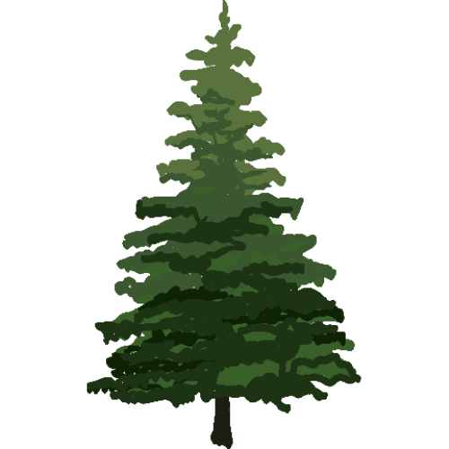 s_ _p_Pine