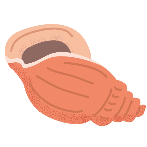 s_ _sh_Shell
