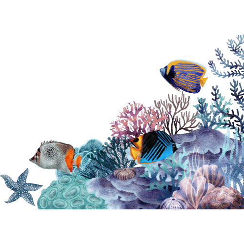 th_ _f_ Reef