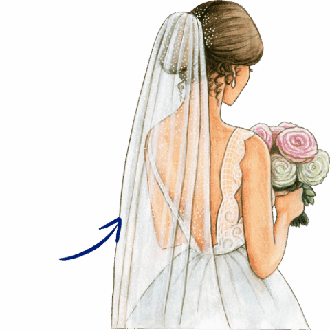 v_ _b_Veil