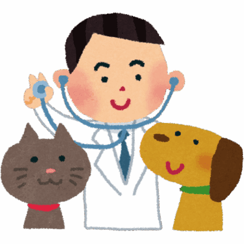 v_ _b_Vet
