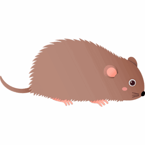 v_ _b_Vole